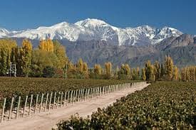 MENDOZA - imagen 1